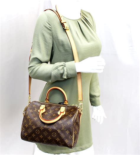 louis vuitton speedy 25 bag in monogram